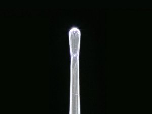 Clearlook tip close up